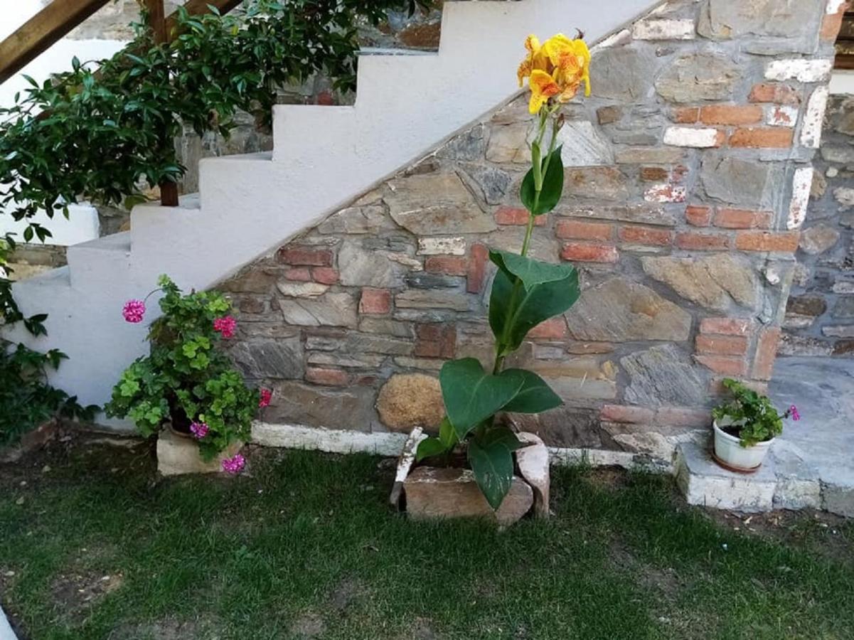 Petrino1880 Sea-Vacation Apartment In Chalkidiki Άγιος Νικόλαος Εξωτερικό φωτογραφία