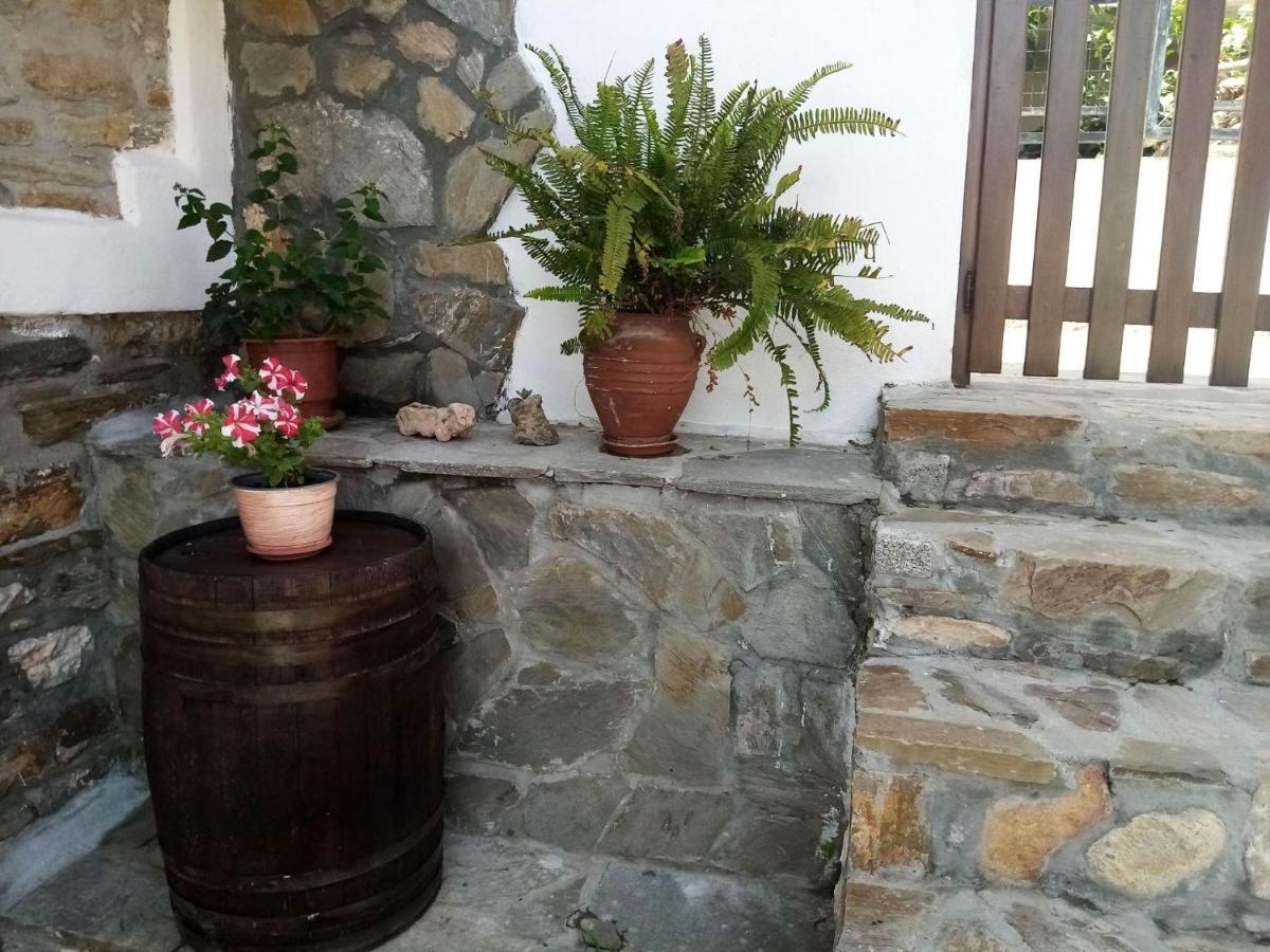 Petrino1880 Sea-Vacation Apartment In Chalkidiki Άγιος Νικόλαος Εξωτερικό φωτογραφία