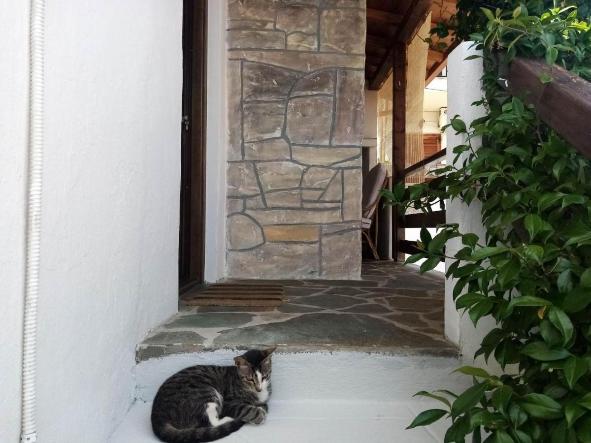 Petrino1880 Sea-Vacation Apartment In Chalkidiki Άγιος Νικόλαος Εξωτερικό φωτογραφία